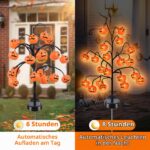 Fohil Halloween Solarlampen 2er Set – 20 LED Kürbisse mit 2 Modi für Garten & Aussenbereich – Bild 2