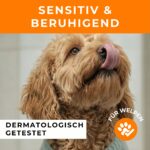 BUDDY BRUNO Hundeshampoo Sensitiv 250ml mit Sanddorn – Glänzendes Fell & beruhigte Haut – Bild 6