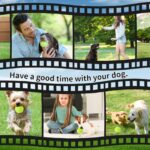 Orifesio 12er-Set Mini-Tennisbälle 5 cm – Hundespielzeug für kleine Hunde & Ballwurfmaschinen – Bild 7