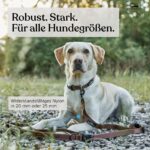 FREUDENTIER Freihandleine 3m – Verstellbare Umhängeleine für Hunde bis 45kg – Bild 6