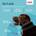 Halti Kopfgeschirr Grösse 3 Schwarz – Anti-Zug-Training für mittelgrosse Hunde – Bild 2