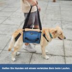 COODEO Hundetragegurt L Blau – Mobilitätshilfe für ältere Hunde & Gelenkprobleme – Bild 4