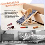 TUKAILAI Hunderampe Holz klappbar, höhenverstellbar 30–40 cm – bis 40 kg – Bild 3