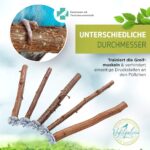 Vogelgaleria® 5er Set Naturholz Sitzstangen – Vogelzubehör für Wellensittich & Nymphensittich – Bild 4
