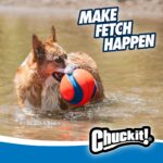 Chuckit! Kick Fetch Large – Robuster Hundeball mit ergonomischen Einkerbungen für mittelgrosse bis grosse Hunde – Bild 7