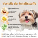 PETCLEAR Hundeshampoo 500 ml mit Kokosöl – pH-neutral & hypoallergen für Hunde und Katzen – Bild 3