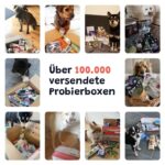 CheckForPet Hundefutter Probierpaket Adult – Nassfutter & Trockenfutter testen – Bild 8