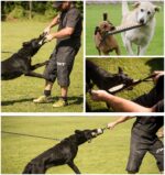 winbarry Beisswurst 30 cm – Robustes Hundespielzeug aus Naturleinen für Tauziehen – Bild 2