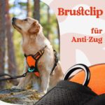 rabbitgoo Hundegeschirr L Orange – Anti-Zug mit 3 Schnallen für grosse Hunde – Bild 6
