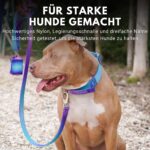 Spark Paws Taktisches Hundehalsband 5cm – Robust & Komfortabel für Grosse Hunde – Bild 5