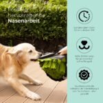 Tierfein Schnüffelteppich – Intelligentes Hundespielzeug mit rutschfester Silikonunterlage – Bild 3