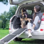 PRIORPET Teleskop Hunderampe Auto – Klappbar & rutschfest für grosse Hunde bis 90kg – Bild 12