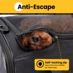 Conlun Hundetransporttasche L Schwarz – Faltbare Reisetasche mit 4-seitigem Mesh für Haustiere bis 9 kg – Bild 6