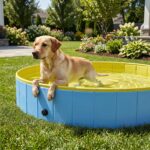 PawHut Hundepool 160 x 30 cm – Faltbares Planschbecken für grosse Hunde – Bild 9