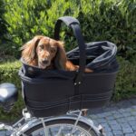 TRIXIE Fahrradkorb Long für Hunde bis 8 kg – Sicherer Gepäckträgerkorb mit Metallrahmen – Bild 6