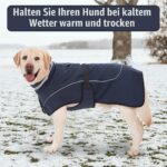 Axcimond Wintermantel Hund wasserdicht mit Fleece & Fellkragen – Reflektierend für alle Grössen – Bild 7