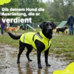 Wasserdichter Hunderegenmantel XL – Reflektierend & winddicht für mittelgrosse Hunde – Bild 2