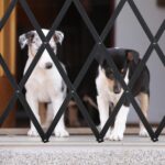 Relaxdays Hundeabsperrgitter ausziehbar 17–130 cm – Treppenschutzgitter aus Bambus – Bild 5
