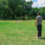 RANYPET 15 m Reflektierende Katzenleine – Sicher & Verhedderungsfrei für Outdoor-Training – Bild 7