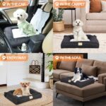 BingoPaw Hundeautositz M für mittlere Hunde – Sicherer Autositz mit Befestigungsgurten – Bild 9