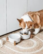 LE TAUCI Keramik Hundenapf-Set mit Akazienholzständer – 430 ml für Welpen & Katzen – Bild 3