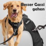Funfox Anti-Zug Hundegeschirr Grösse L – No-Pull Brustgeschirr mit Reflektoren für mittlere bis grosse Hunde – Bild 3