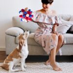 Larimuer Schnüffelball für Hunde – Interaktives Intelligenzspielzeug für kleine & mittlere Hunde – Bild 7