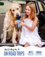 lesotc Hundetrinkflasche 520ml – Tragbar & Auslaufsicher für Unterwegs – Bild 7