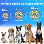 Vivifying Hundefussball 20 cm mit Griffen – Strapazierfähiger Spielball inkl. Pumpe – Bild 2