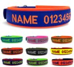 Personalisiertes Hundehalsband Biothane (XS–XXL) – Individuell bestickt mit Name & Telefonnummer