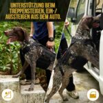 OneTigris Invictus Hundegeschirr L – Mobilitätshilfe mit 3 Griffen für ältere & verletzte Hunde – Bild 6