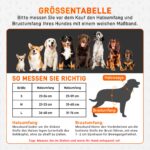 HENMI Leuchtgeschirr Set (L) mit LED & Hundeleine – Reflektierendes Sicherheitsgeschirr für mittlere Hunde – Bild 7