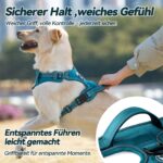 PoyPet No-Pull Hundegeschirr M – Reflektierendes Brustgeschirr ohne Würgen für Mittelgrosse Hunde – Bild 8