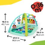 Baby Einstein Farm Explorers 4-in-1 Spielbogen – Musik- & Sprachlernmatte für Babys 0–36 Monate – Bild 2
