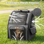 Aystkniet Haustier-Rucksack 34×29×43 cm – Ergonomisch für Katzen & kleine Hunde – Bild 5