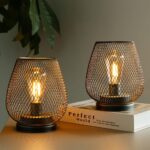 TRIROCKS 2er Set Batterieleuchten 17cm mit LED Edison Birne – Kabellose Tischlampen Braun