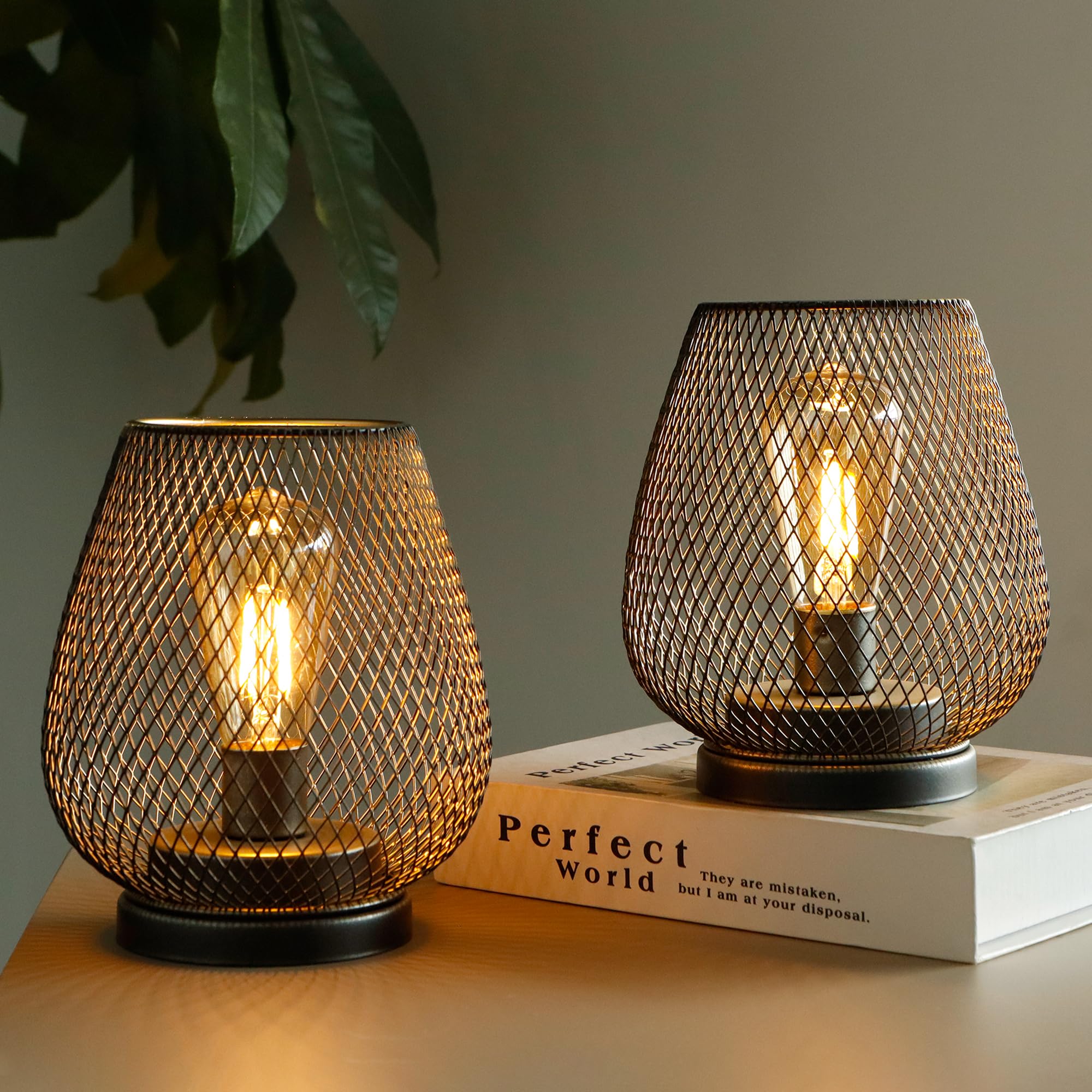 TRIROCKS 2er Set Batterieleuchten 17cm mit LED Edison Birne – Kabellose Tischlampen Braun