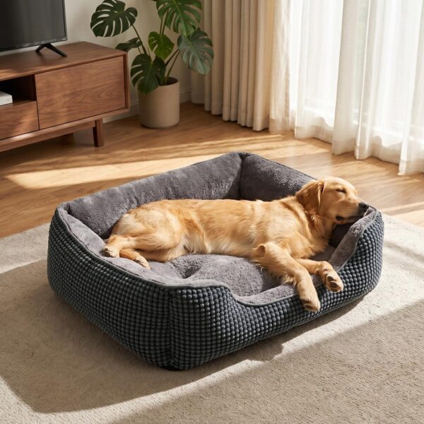 FURTIME Hundebett XL 89x63cm – Orthopädisches Hundesofa mit Memory-Schaum für grosse Hunde