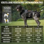 OneTigris SKYEWALKER Hundegeschirr M – Mobilitätshilfe mit 2 Hebegriffen für mittlere & grosse Hunde – Bild 2