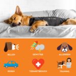 Thundershirt Beruhigungsweste Grösse L – Angstabbau für Hunde ohne Medikamente – Bild 3