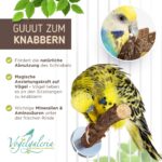 Vogelgaleria® 5er Set Naturholz Sitzstangen – Vogelzubehör für Wellensittich & Nymphensittich – Bild 2