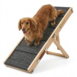 Artpet Klappbare Hunderampe – Höhenverstellbar 34–53 cm für kleine Hunde & Katzen