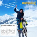 Nomadog Trailblazer Anti-Zug Hundegeschirr Grösse L – Gepolstert & Reflektierend für grosse Hunde – Bild 10