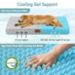 COZY KISS Orthopädisches Hundebett 91x69cm – Gelenkentlastung für grosse Hunde – Bild 2