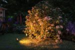 Paulmann Plug & Shine LED Gartenspot Sting Set – 3er Strahler, IP67, 2200K Warmweiß – Bild 7