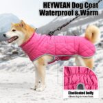 HEYWEAN Winterhundemantel wasserdicht mit Fleece – Warme Hundejacke für kleine bis grosse Hunde – Bild 5
