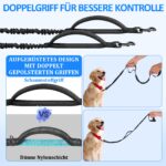 Philorn Joggingleine Hunde – Freihändiger Laufgurt mit Bungee & Dual-Griffen bis 50kg – Bild 5