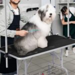 Yaheetech Hundepflegetisch klappbar – höhenverstellbar bis 177 cm, 120 kg belastbar – Bild 9