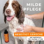 BUDDY BRUNO Hundeshampoo Sensitiv 250ml mit Sanddorn – Glänzendes Fell & beruhigte Haut – Bild 2