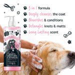 BUGALUGS 3-in-1 Hundeshampoo mit Panthenol & Mandelöl – Reinigung, Pflege & Entwirren – Bild 3